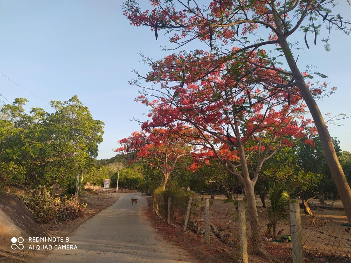 The Sunrise Anh Tu Cam Ranh Exterior foto